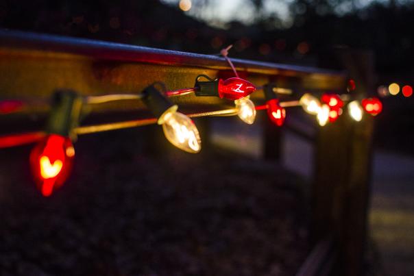 Holiday Lights