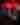 Chattanooga Motorcar Festival - Nightly Concerts