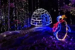 RC Enchanted Garden of Lights Pengin